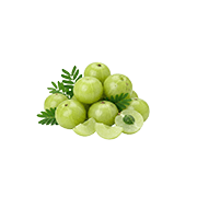 Amla (Indian Gooseberry)