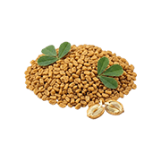 Meethi dana (Fenugreek)