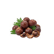 Reetha (Soapnut)